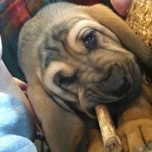 Meet your Posher, Jaime